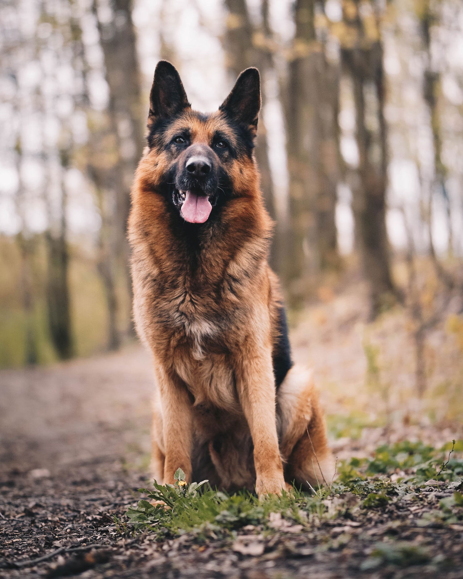 Photo by Anna Dudkova on Unsplash